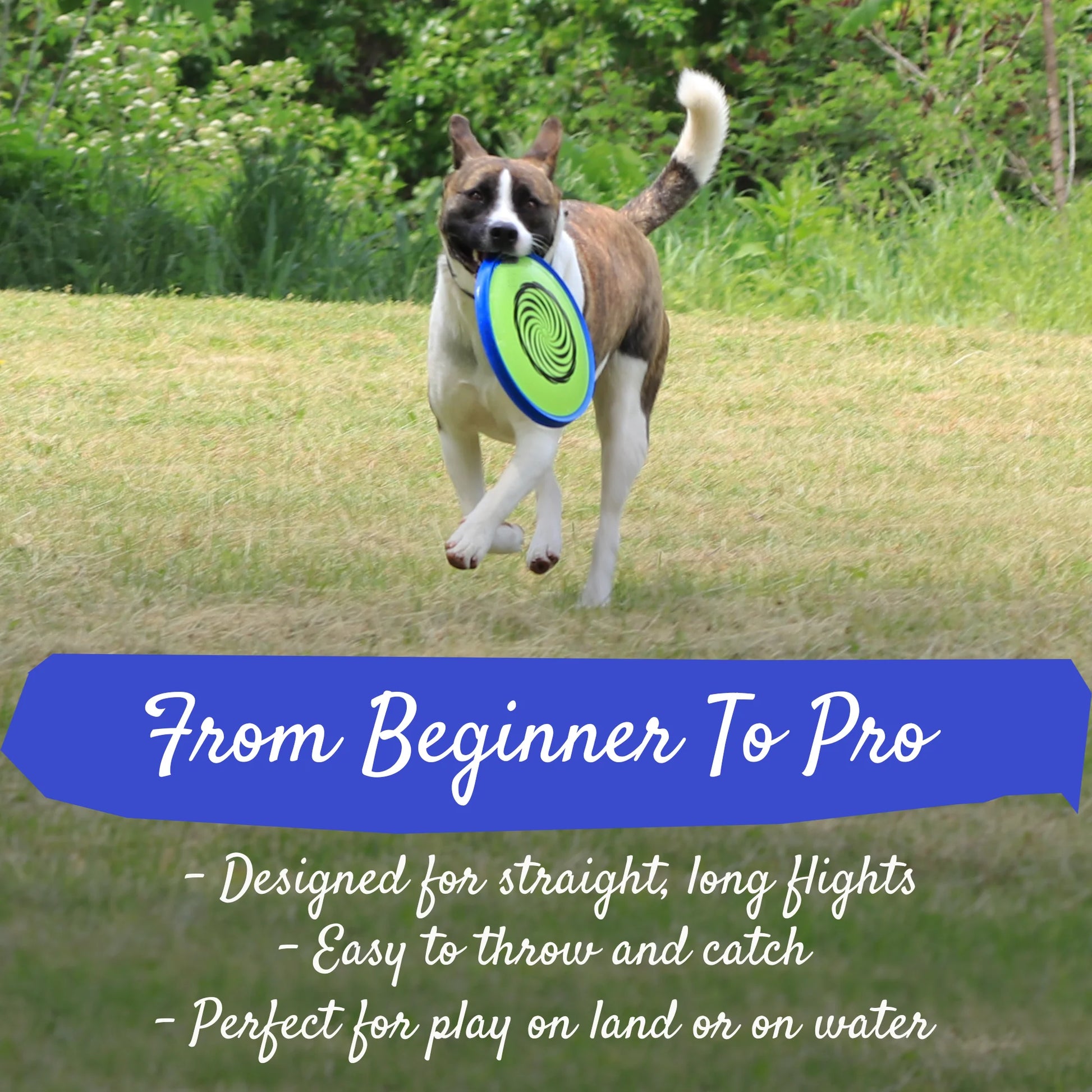 Outdoor Soft Edge Flying Disc, Floats in Water and Great for Lawn Games!